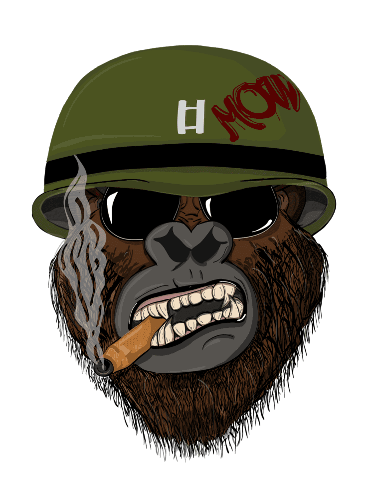 monkey-soldier-5113779_1920